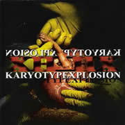XhohX - Karyotypexplosion